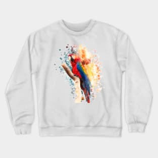 Macaw Painting Crewneck Sweatshirt